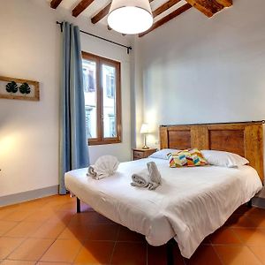 Zeno Apartment